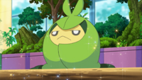 Ash Swadloon.png