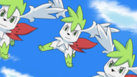 Shaymin Sky Forme