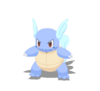 Wartortle