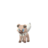 Rockruff