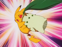 Casey Chikorita Tackle.png