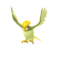 Pidgeotto