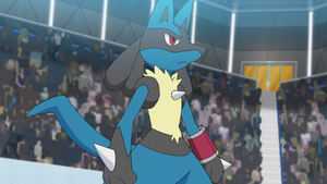 Korrina Lucario.png