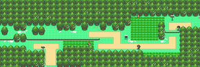 Sinnoh Route 201 Pt.png