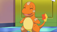 Kanto Fair host's Charmander