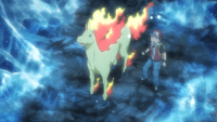 Red's Rapidash