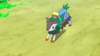 Clemont's Skiddo