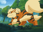 On Cloud Arcanine