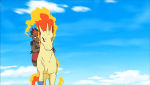 Kiawe and Rapidash.png