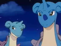 Lapras