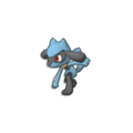 Riolu #377