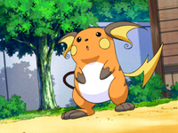 The Pokémon Summer Academy's Raichu