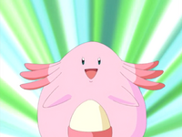 Ben's Chansey