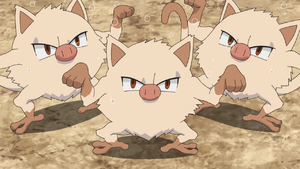 Mankey anime.png