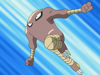 Master Hamm's Hitmonlee