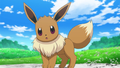 Eevee in the anime