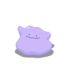 Ditto