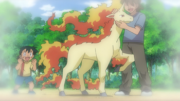 Small Rapidash.png