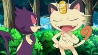 Purrloin: Sweet or Sneaky?