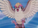 Falkner Pidgeot Whirlwind.png