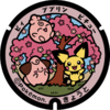 Poké Lid 160 Kyoto.png