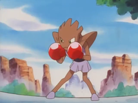 Anthony's Hitmonchan