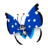 Vivillon