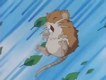 O-Hina Town Raticate.png