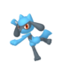 Riolu