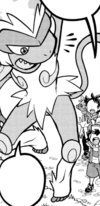 Ash Infernape JNM.png