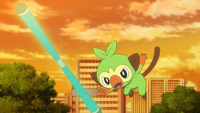 Goh Grookey Branch Poke.png