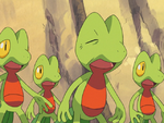 Petalburg Forest Treecko.png