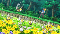 Treasure Island Ribombee Cutiefly.png