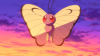 Ash's Butterfree