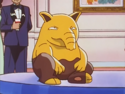 HopHopHop Town Drowzee.png