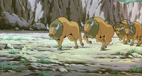 Team Rocket's Tauros