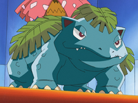 Jeremy's Venusaur