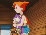 Wings Rattata.png