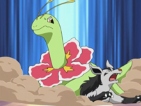 Casey Meganium Body Slam.png