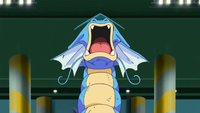 Misty Gyarados Rain Dance.png