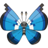 0666Vivillon-Marine.png