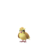 Pidgey