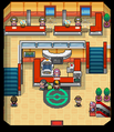 HeartGold and SoulSilver Johto