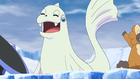 Pokémon Iceberg Race Dewgong.png