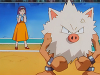 Yumi Primeape.png