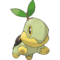 387Turtwig Pt.png