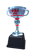 Duel Trophy Fire Silver.png