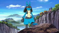 Sir Aaron's Lucario