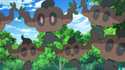 Phantump anime.png