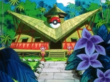 Valencia Island Pokémon Center.png